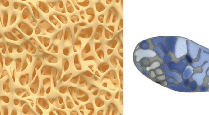 MADEC participates in IHSI 2019 CONFERENCE AS FOUNDATION MEMBER OF  DESign4materials network